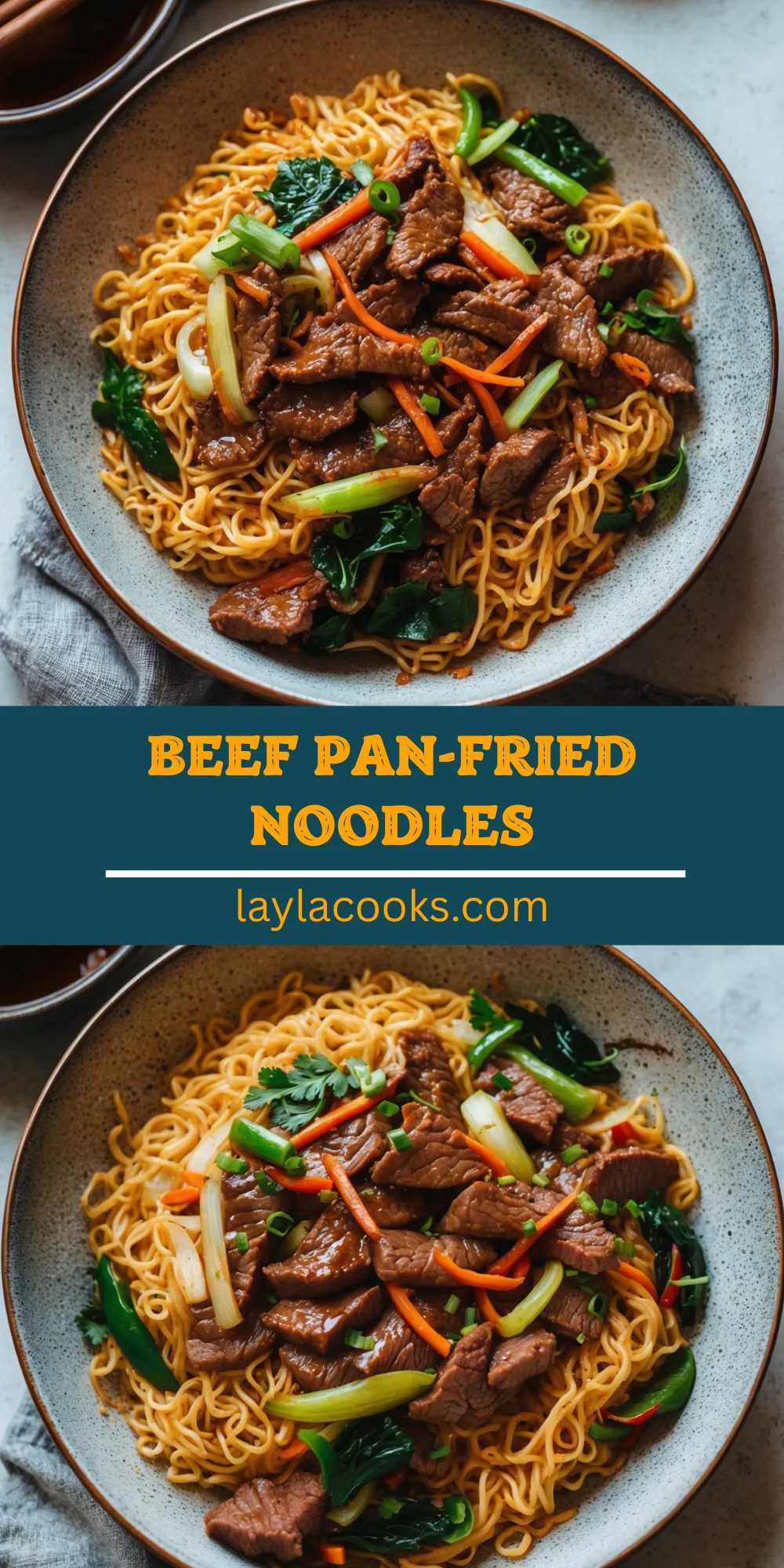 Beef Pan-Fried Noodles