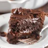 Hot Fudge Pudding Cake